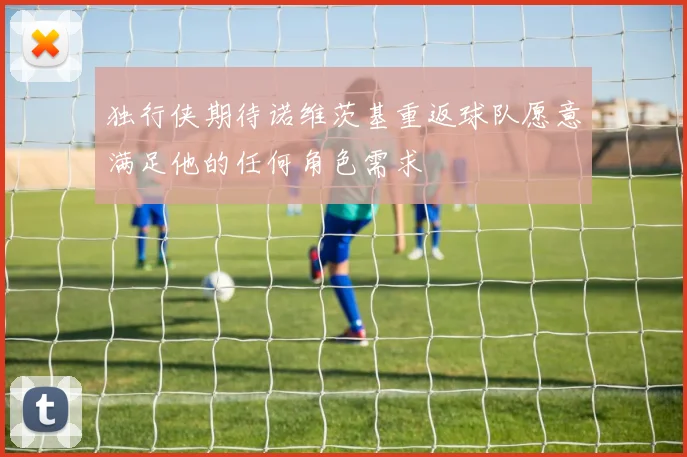 独行侠期待诺维茨基重返球队愿意满足他的任何角色需求